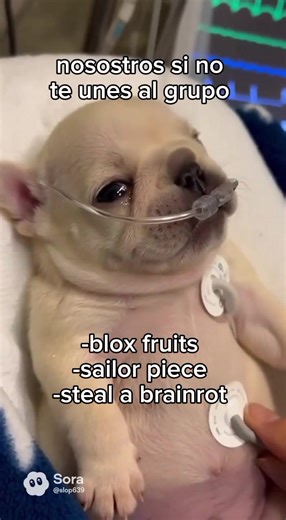 #Bloxfruits #stealabrainrot #sailorpiece #rip_indra #ParaTi