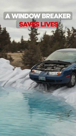 You Won’t Believe What Happened Next #missing #adventureswithpurpose #underwater #learnontiktok #fyp #Searching