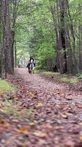 Trek Boots are EXCELLENT on trails, but did you know they're also the best therapy boots in town? READ MORE: https://cavallo-inc.com/trek-rehab-1 Video by @lifeofskylynn , Instagram :) | Cavallo Hoof Boots