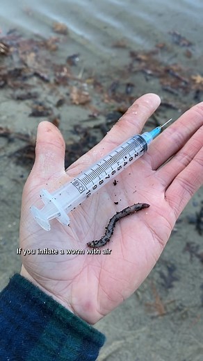 269K views · 1.8K reactions | Inflating a Worm with Air to use as Fishing Bait! | Tackle2thePeople | Facebook