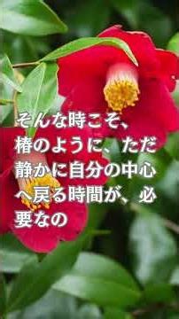 双子座のあなたへ 椿の花言葉｜静かな強さに癒される時間