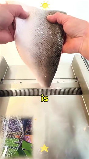 Part1 OlasjustwandeingoffatDisneylandParisattheNewWorldofFrozencomingnextMarch!Beyondcute#disneyland#WorldOfFrozen#frozen#disneyadventureworld#disneylandparis