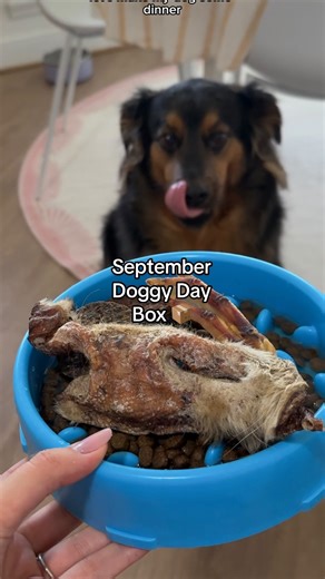 41 reactions | We love you @doggydaybox !! Try a Chicken , Beef  or Monthly ️ box FOR FREE by using code KITFREEBOX 﫶﫶﫶﫶 THANK YOU SO MUCHHHHHH #doggydaybox #dog #dogfood #dogtreat #dogchews | Kitwithfood | Facebook
