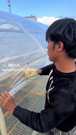 Exploring Tunnel Greenhouses for Sustainable Farming