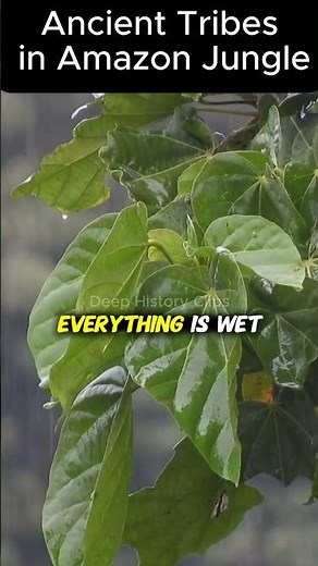 Inside the Lives of Hidden Amazon Tribes 🌴