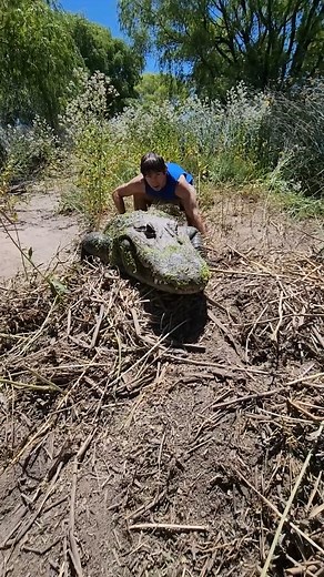 Collecting Alligator Eggs! #alligators #gators #ColoradoGators | Wild Charles