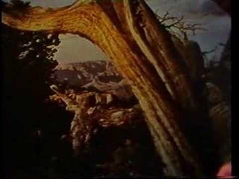 Wanda Jackson "One Day At The Time" Live