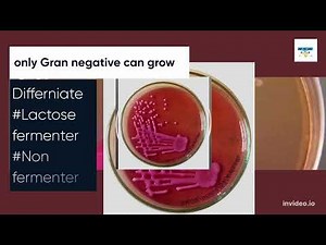 MacConkey Agar: A Versatile Medium for Microbial Culture and Identification
