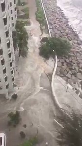 6.6K views · 197 reactions | Typhoon Hato China August 23, 2017 Huge waves crash on coastline of Hong Kong ! Video by Severe Weather World | Cyclone Of Rhodes | Facebook