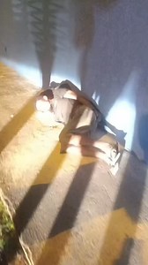 Momento de muita alegria em Conquista depois de 9 anos desaparecido mãe encontra o seu filho foi muita emoção Ontem o blog do Ricardo Nolasco postou aqui o homem identificado como Nen foi encontrado por um caminhoneiro e graças a Deus a família resgatou hoje | Ricardo Nolasco