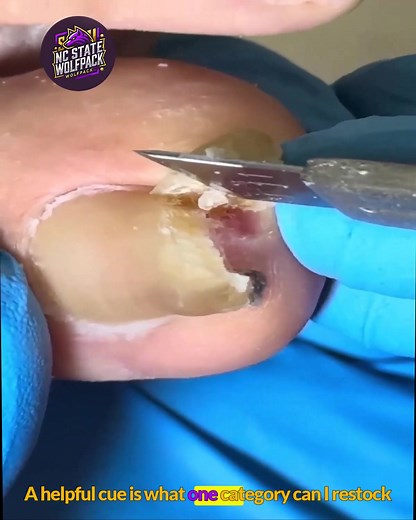 2212. Build a monthly grocery planner with limited budget food labels #BudgetFriendly #GroceryLabels #EverydayWellness | NC State Wolfpack on TheWolfpacker.com