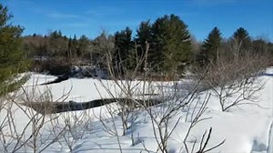 The Gatineau Park winter trail maintenance team has a combined 70 years’ experience grooming trails! ❄ Depending on weather conditions, many factors affecting the art of grooming into consideration when making grooming decisions. Read all about how these experts work: http://ow.ly/9hyK50xPgdF | Gatineau Park