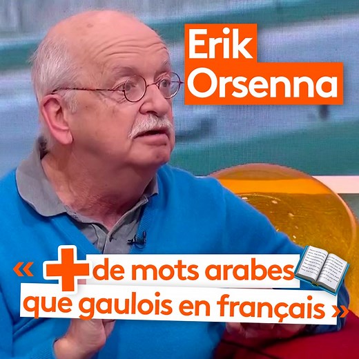 693K views · 11K reactions | « Dans le français, il y a plus de mots d'origine arabe que d'origine gauloise » Erik Orsenna, écrivain et académicien, et les "mots immigrés" de la langue française  | Télématin | Facebook