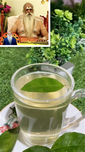 #indigestionrelief lemon leaf tea💪☕️#detox#homeremedies#healthtips#ayurvedictea#shorts