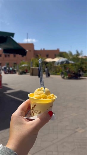 Morocco in the spring is magical Experience it for yourself with Insight Vacations. Contact a Destinations to Travel advisor to learn more about available dates and itineraries. #insightvacations #travel #guidedtour #springtravel #springinmorocco | Destinations To Travel | Facebook