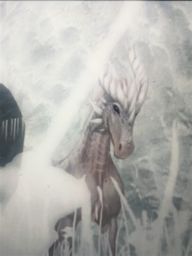 Keima #horse #sso #starstable #starstableonline #starstablehorses #ssohorses