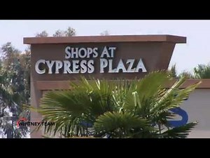 Cypress - Alchetron, The Free Social Encyclopedia