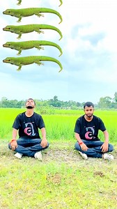 1.5M views · 5.1K reactions | Lizard and cockroach vs boy eating challenge - Funny vfx magic #shorts #facebooke #magic #viral #trending #facebookreelsviral #facebookvideo #vfx #vfxprasenjit #vfxmantu | Prason Vfx | Facebook