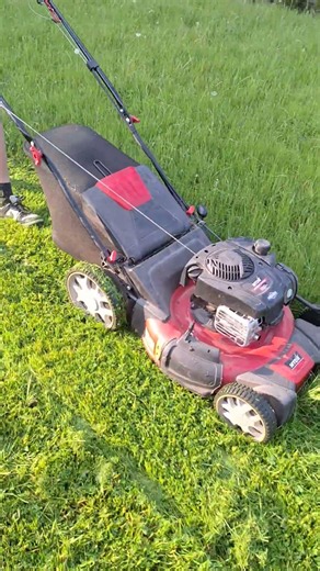 First mowing of tall grass with a petrol lawnmower MTD OPTIMA SPB 53 HW #shorts