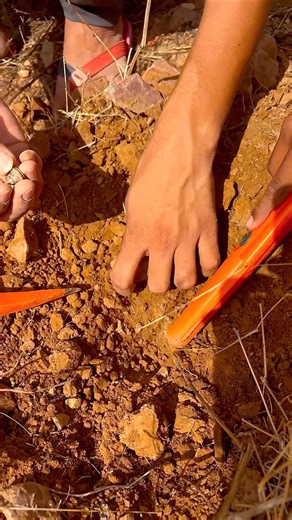Purani basti me khajana mila metal detector se #metaldetecting #treasurehunt #shortsfeed #khoj