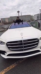 Cabin Fever 🤒 | Diggy Graves