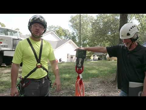 Crane Use in Arboriculture: Safety Demonstration