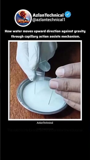 Can Water Really Flow Upward Against Gravity? The Shocking Science Behind Capillary Action! #physics