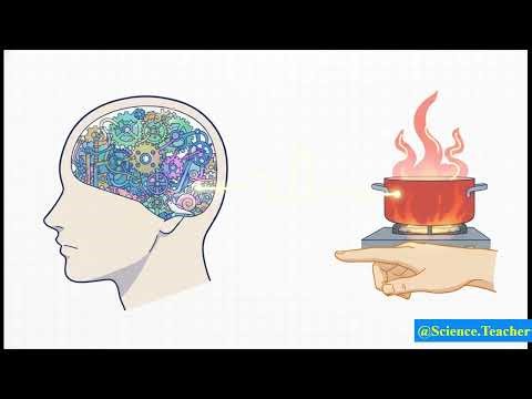 नियंत्रण एवं समन्वय/ Class 10th Science chapter 7 // NCERT Science Class 10th