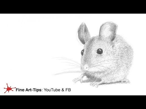 HOW TO DRAW A MOUSE - Easy and realistic - Narrated