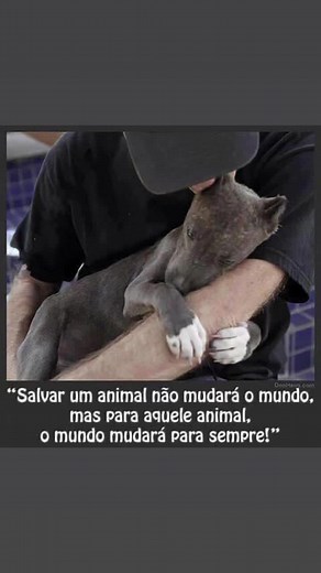 Os vídeos de lassielaicapiticovera (@lassielaicapiticovera) com Heal the World - Michael Jackson