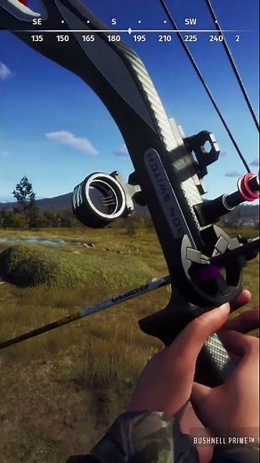 Bow hunting a wolf 🐺 perfect shot placement | Way of the hunter #archery #wayofthehunter