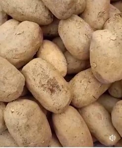 6K views · 72 reactions | caolin jaune mon bébé mon amour Il est fort y'a rien à dire Il est tout terrain partout où tu le met il gère Prix:3000fr On frotte dans l'eau pour boire avec citron On applique sur la partie avec citron Ne demander par sa soigne quoi il est tout terrain Corps chaud Enflure Cancer Bobodouman Douleur dans le corps Douleur dans le dos Pieds qui chauffe je dis que il fais tout +2250707047175 | La santé au pays abbey | Facebook