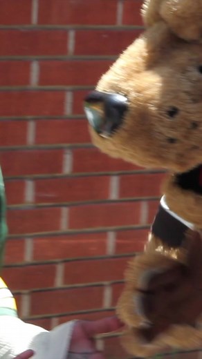 The F is for Football 🤙🏾