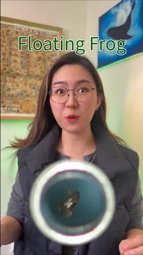 Frog Floats on Magnets: Andre Geim’s 2000 Ig Nobel Win