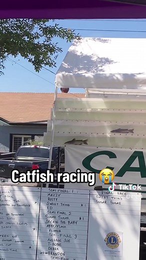 Bro cashed out 😂 (via xarchxdawgx/IG) #catfish #race #racing | cat fish