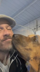 3.8K views · 71 reactions | The Great E-Collar Deception… There’s so...