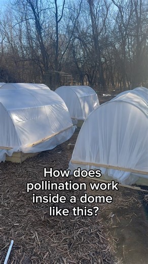 2.3K views · 68 reactions | One of the biggest questions I get about...