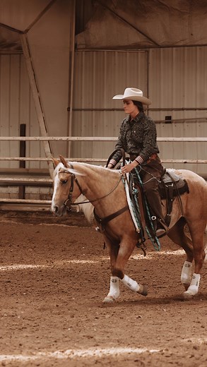 What’s the difference?👀 #collection #horsetraining #horses #horsetrainer #westernhorseman | The Golden Horse