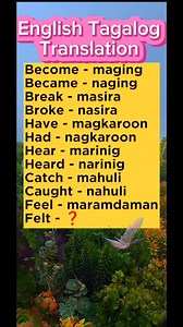 19K views · 359 reactions | Basic English Tagalog Translation  #englishlearning #English #tagalog #translation #learning | Learning English Tagalog | Facebook