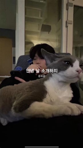 온리플리 on Instagram: "안녕 날 소개하지🐝 • • • 고랩2 학년별 싸이퍼 - 김하온 @noahmik • • #김하온 #haon #고등래퍼2 #국힙 #플리 #국힙추천 #플리추천 #fyp #playlist #onlyplaylist"