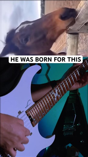 New SOAD guitarist 🔥🐴 #nanocortex #guitartone #soad ‪@systemofadown‬