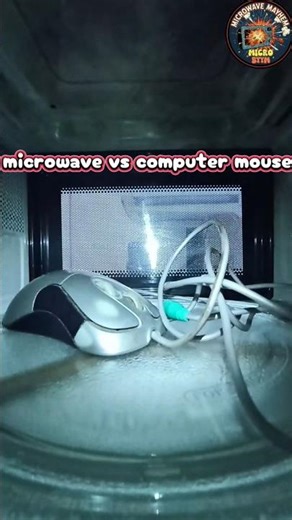 microwave vs computer mouse 🐁 #microwave #microwavemagic #experiment #computermouse