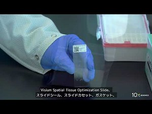 01 Visium空間的組織最適化プロトコール | はじめに