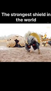 19K views · 77 reactions | Movie #Explained #movieclips | Amazing Thinx | Facebook