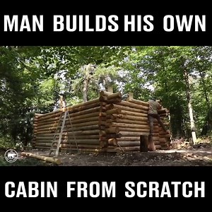 4.7M views · 87K reactions | When you've finally had enough of people and decide to build your own log cabin in the wilderness  My Self Reliance | LADbible | Facebook