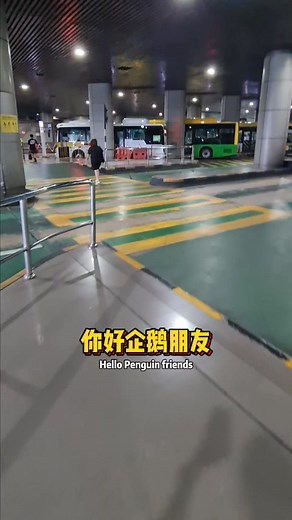 CAUSEWAY LINK BUS MALAYSIA YELLOW BUS FASTEST BUS RIDE BACK SINGAPORE 乘坐马来西亚黄色巴士 CW BUS 返回新加坡 #baspekerja #cwbus #causewaylink #causewaylinkbus #johorbus #singapore #malaysia #CIQ #johor #mdac #fastestway #cwbus #bus160 #bus170 #bus170x #bus950 #马来西亚蓝色巴士 #返回新加坡 #马来西亚黄色巴士 #黄色巴士 | Bibipew