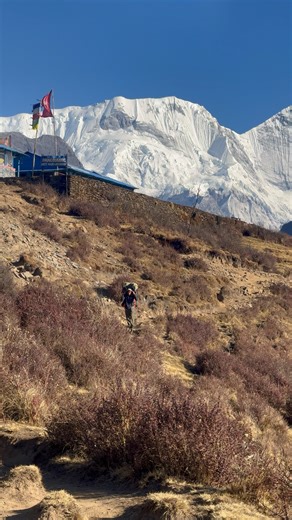 13K views · 485 reactions | The backbone of every himalayan adventure  On the final stretch from mardi himal high camp down to sidding, our incredible porter continue to lead the way with strength and a smile. While we carry our memories, he carry the weight that makes these journeys possible. A huge salute to the local hero who turn trekking dreams into reality. #mardihimaltrek #nepaltrekking #adventureofalifetime #himalayangatewaytrek | Himalayan Gateway Trek | Facebook