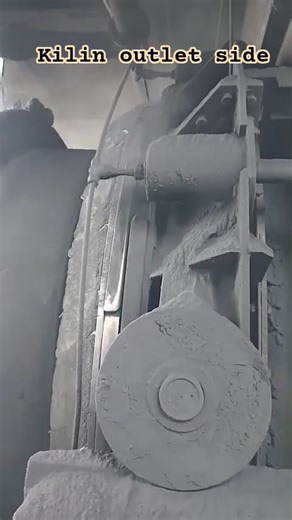 DRI plant #ytshorts #youtuber