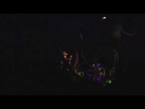 Disneyland Resort 2010: Disneyland Splash Mountain