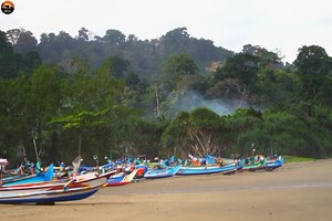 61K views · 2.3K reactions | The Javan Tiger Part 5- हिन्दी डॉक्यूमेंट्री #animals #wildanimals #Jungle #documentary #WildlifeTelecast | Beyond The Wild | Facebook